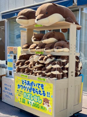 【お得!?】横浜・八景島シーパラダイス、"ハズレなしのくじ引き"にカワウソ登場!? - 「どうあがいてもカワウソがもらえるシステム最高!」「可愛い欲しい」と話題