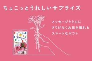 花キューピット、住所が分からなくても花が贈れる「花とみどりのeギフト」をスタート