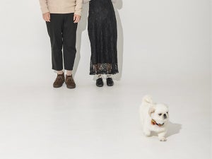 まるで大御所!? 撮影後に去っていく子犬の貫禄に「やりきった顔してるw」「楽屋よらないタイプですね」の声