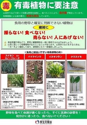 【注意喚起】それ、本当に食用? 食用と間違えやすい「有毒植物」とは - 厚労省がXで呼びかけ