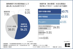 犬も花粉症になることが獣医師1,003人への調査で明らかに! おすすめの対策法は？