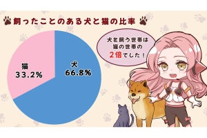 犬・猫を飼って良かったこと1位「癒される」、もう飼いたくない理由1位は?