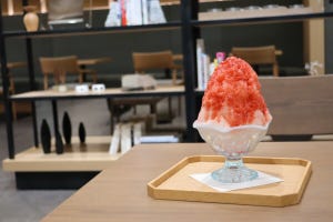 レクサスが「カフェ」をフルモデルチェンジ! どう変わった?