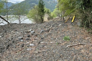 大井川鐵道、台風で被災した不通区間を歩く見学ツアー - 5月実施へ