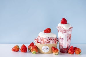 熱海のいちごスイーツ専門店が新作「ショートケーキかき氷」発売