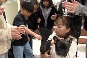 犬が大好きだけど触れない少年　恐怖で涙も…兄とともに奮闘