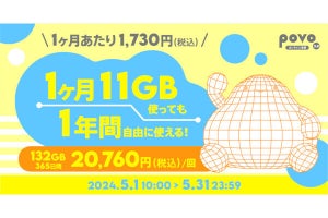 povo2.0、132GB（365日間）／30GB（180日間）／1GB（365日間）の期間限定トッピング