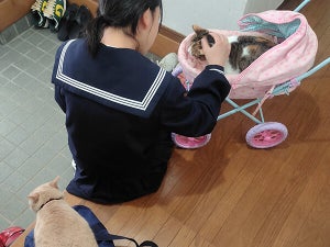 猫の作戦勝ち!?“子どもがなかなか学校に行けない理由”が反響!「お見事すぎる」「そら行けんわね」「幸せの時間」と話題に