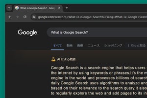 GoogleのAI検索、「月に猫」「ピザソースに糊」、誤解を招く回答で波紋呼ぶ