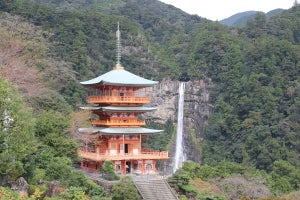 和歌山県那智勝浦町のふるさと納税返礼品・生まぐろにピッタリ! 「自然と歴史に育まれた調味料」5選