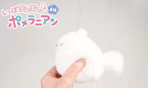 【9.5万いいね】ぬいぐるみ『しっぽぶんぶん!ポメラニアン』が大人気 - 「なんだこれー!!」「どうしよ、めちゃくちゃ欲しいw」と話題