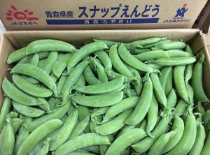 【そうだったのか】スナップえんどうの「スナップ」って、どういう意味?