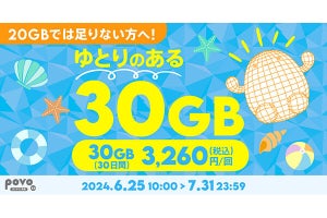 povo2.0、30GB（30日間）の期間限定トッピング - 7月31日まで