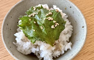 【ごはん泥棒】「大葉の醤油漬け」が超簡単でおいしそう! 全農公式Xによるレシピ公開