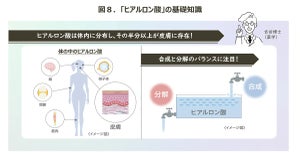 「ヒアルロン酸」とは? 今まで使ったことがない興味関心のある美容成分1位