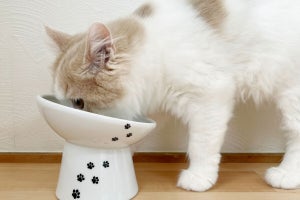 15度の傾斜と脚が付いた猫用食器「脚付にゃにゃめフードボウル」販売