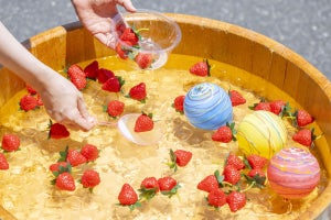 いちごすくいにいちご飴づくり！伊豆のいちご専門店で「いちごの夏祭り」