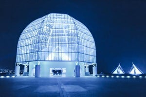 上野動物園、多摩動物公園、葛西臨海水族園…都内の動物園・水族園が開催する“夏の特別イベント”を紹介！