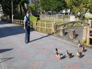 【ほのぼの】交番前の道路を横断するファミリー、お巡りさんが見守る光景に「めちゃくちゃ可愛い」「優しさにホッコリ」の声