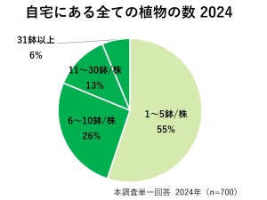 【観葉植物トレンド】「ポトス」や「アイビー」など枝垂れ、「オリーブ」や「ガジュマル」など個性的な樹形が人気 - 第一園芸調査