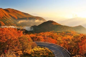 「一度は行ってみたい紅葉の名所」ランキング、1位は栃木県のあの観光地! - 2位京都府・京都、北海道・知床五湖