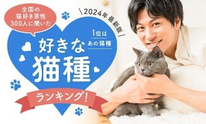 猫好き男性に人気の猫種、2位の「アメリカンショートヘア」を抑えての1位は?