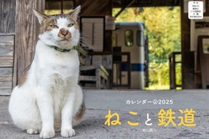 「ねこと鉄道」2025年カレンダー発売、さまざまな路線の猫たち登場