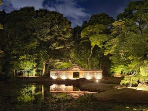 江戸の大名庭園「小石川後楽園」がライトアップで幻想空間に変貌! 10日間限定の“夜間特別開園”はじまる