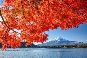 紅葉と山と湖がコラボ! 山梨県富士河口湖町の一大イベントとは? ふるさと納税返礼品でお食事も