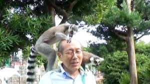 桐谷さん、人生初の兄妹4人旅へ　動物園でワオキツネザルから熱烈歓迎