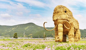 ジオパーク認定・愛媛県西予市で暮らす魅力、移住者がつくるふるさと納税返礼品とは? 