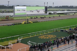 京都競馬場の1大イベント、菊花賞の裏側でドコモが実施するトラヒック対策