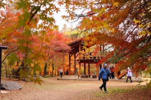 埼玉県で「嵐山渓谷紅葉まつり」--ご当地グルメやワークショップも