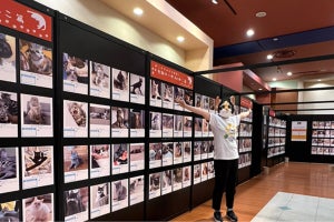 【猫好き大集合】ねこイベント「にゃんにゃんフェスティバル」、ララガーデン川口で開催