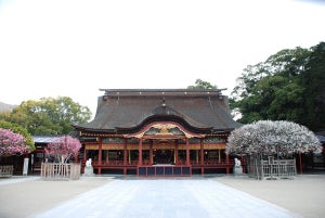 学問の神様で有名な福岡県太宰府市の天満宮の魅力とは? 名物・梅ヶ枝餅はふるさと納税返礼品に!