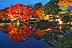 【姫路城】日本庭園 好古園で紅葉ライトアップイベント「紅葉会」が11月15日からスタート