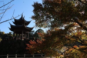 【鹿児島県いちき串木野市】紅葉を巡る観光周遊バスの魅力、隠れた名品のふるさと納税返礼品とは? 