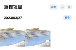 写真の「重複項目」って何ですか? - いまさら聞けないiPhoneのなぜ