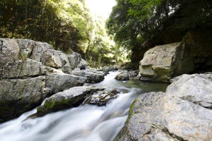 【大阪府高槻市】四季折々に楽しめる自然公園「摂津峡」の魅力、人気のふるさと納税返礼品とは?