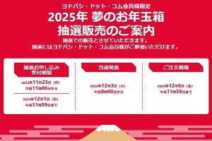 ヨドバシ「2025年 夢のお年玉箱」、抽選受付を11月25日開始