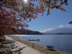 自然と人が調和した山梨県富士河口湖町で暮らす魅力、移住者が手掛けるふるさと納税返礼品とは? 