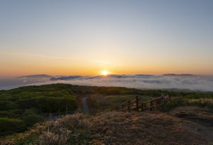 【北海道奥尻町】360度の大パノラマが一望! 「球島山」の魅力、人気のふるさと納税返礼品とは? 