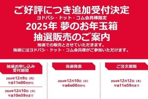 ヨドバシ「2025年 夢のお年玉箱」が追加抽選へ 12月10日午前10時59分まで