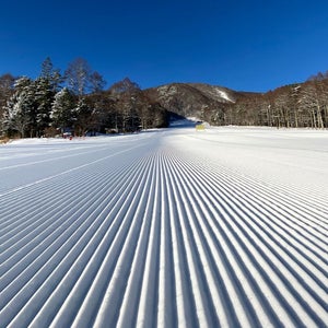 ゴンドラで別世界へ! 好アクセスのスノーリゾートとは? 利用券は長野県富士見町のふるさと納税返礼品でも