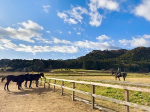 乗馬やホーストレッキングが楽しめる「ノーマ・ホースヴィレッジ」、福島県浪江町にオープン