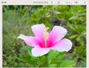 リンゴ印のライフハック 第87回 Mojaveで進化した「Quick Look」を使いこなそう