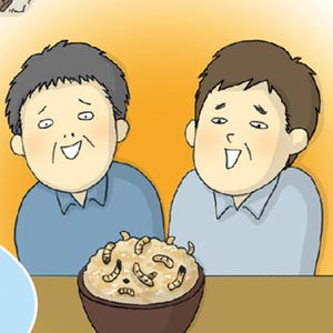 1コマ漫画 日本列島あるあるツアー 第102回 愛知の虫たっぷりご飯は作り方もすごい