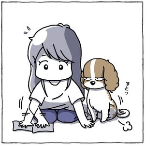 【4コマ漫画】キャバリアとの暮らし 第11回 「キャバリアのかわいい習性」と思いきや…!? 