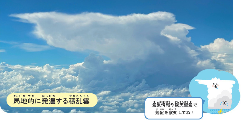 すごすぎる天気の図鑑 雲の超図鑑 第5回 【あの雲もじつは…】天気予報が外れがち!?「予報官泣かせの雲」とは?