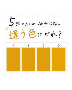 デザイナークイズ 第1回 5%の人しか分からない違う色はどれ?